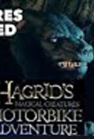 Hagrid's Magical Creatures Motorbike Adventure - pre-show (2019)