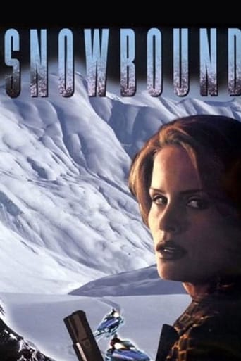 Занесенный снегом (2001)